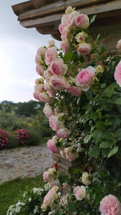 Il Casale Di Fiore Cannara Экстерьер фото